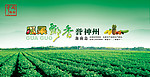 瓜果飘香誉神州