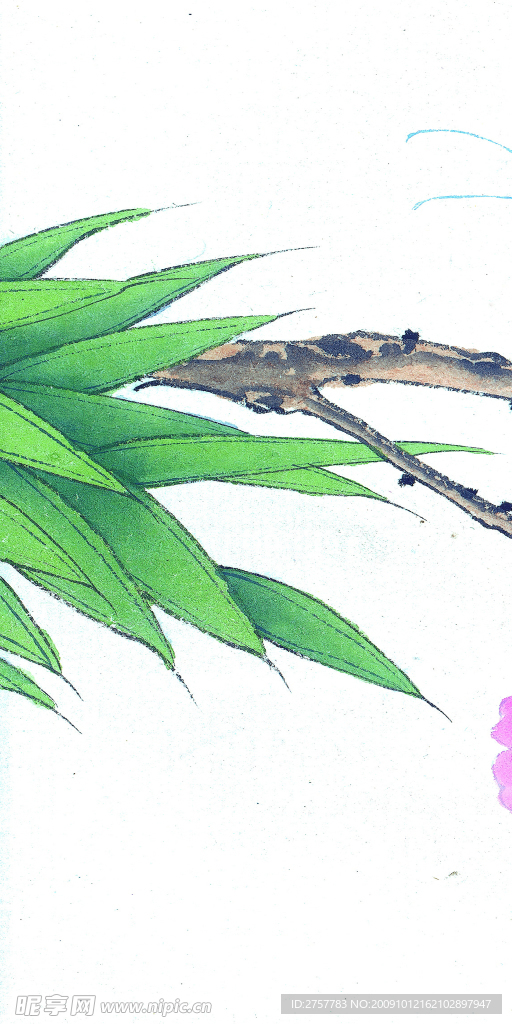 竹叶