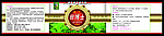 今播金甜叶菊