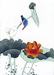 国画 荷花