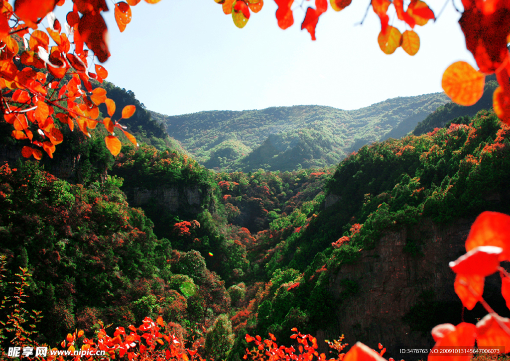 风景