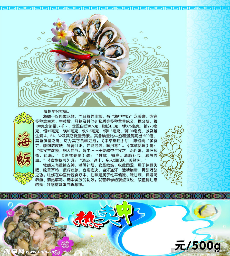 海蛎宣传