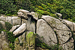 山上奇石