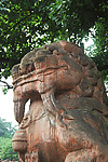 石狮高清