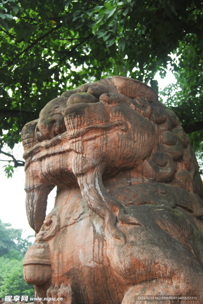 石狮高清
