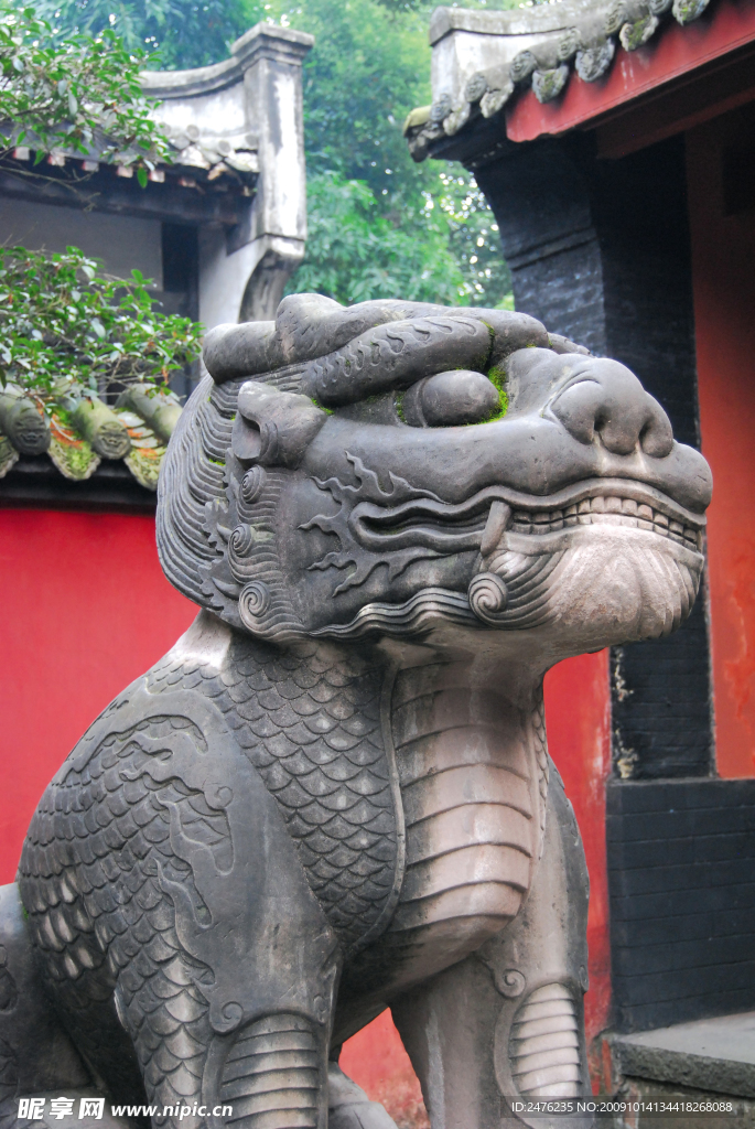 石狮高清