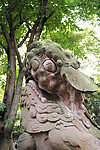 石狮高清
