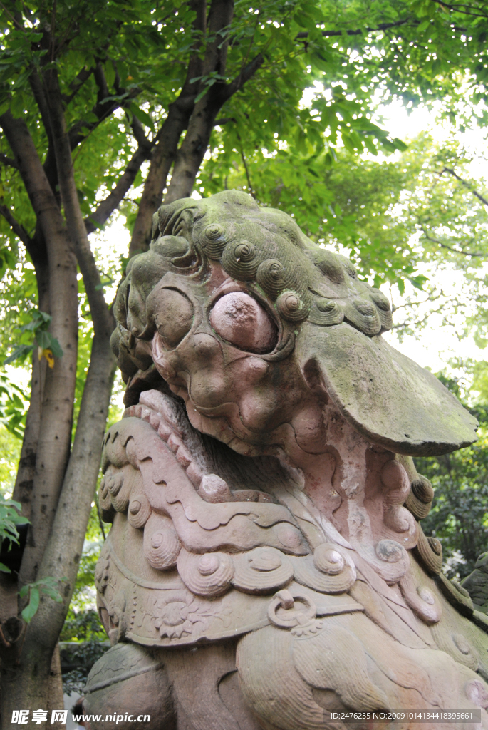 石狮高清