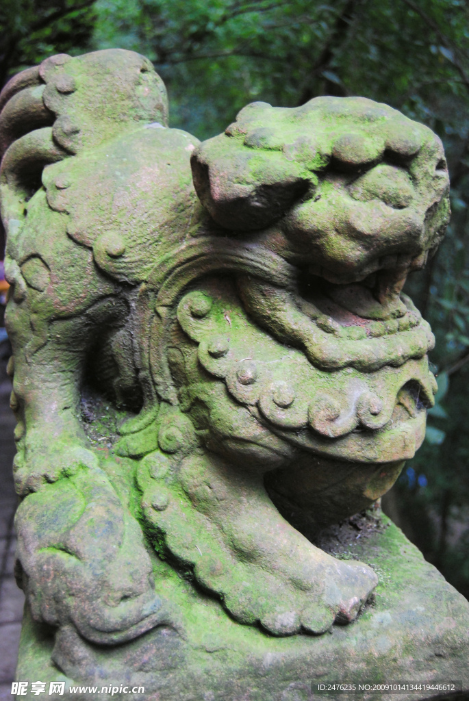 石狮高清