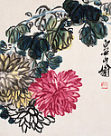 菊花
