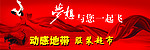 动感地带