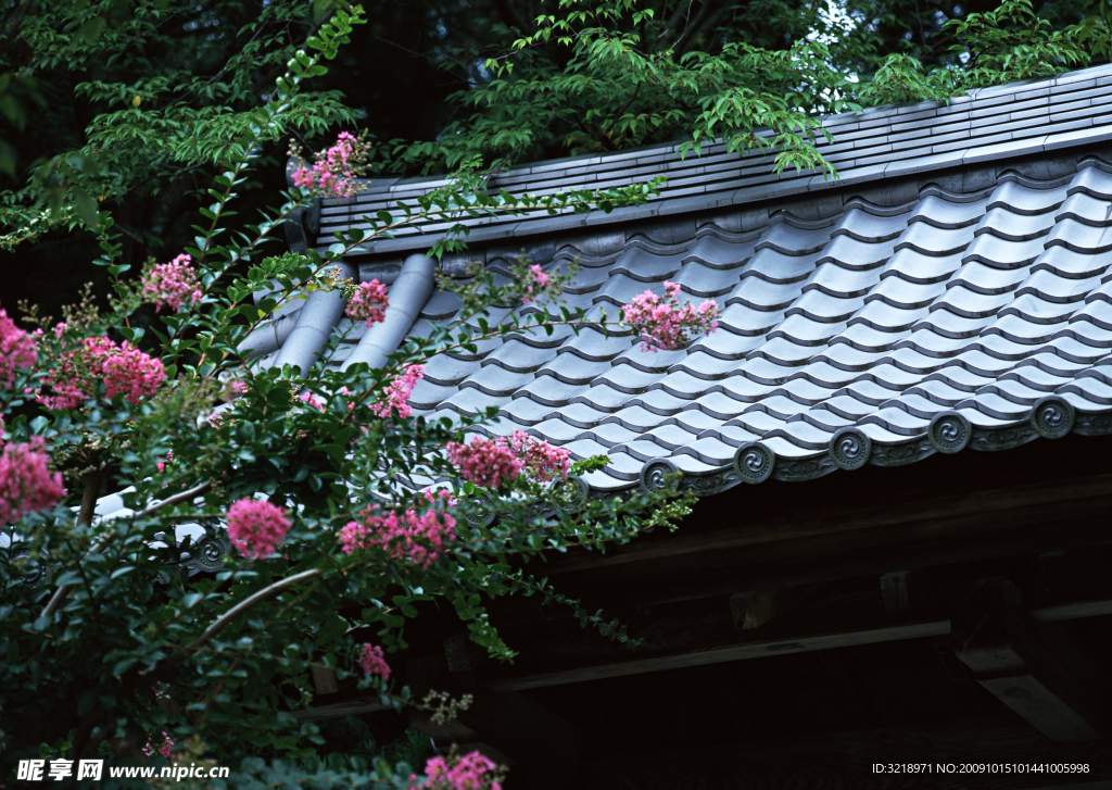 花与屋檐