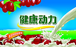 今麦郎 健康动力