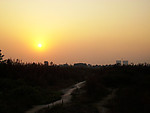 夕阳小路