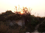 老墙上的夕阳