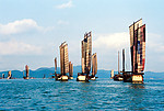 大海
