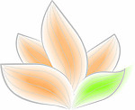 莲花