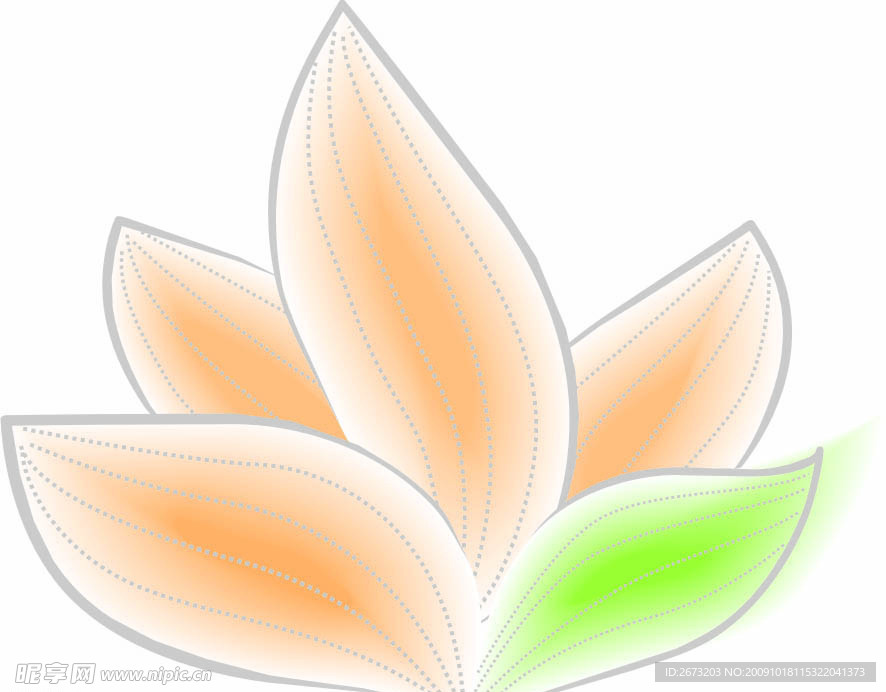 莲花