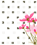 向往