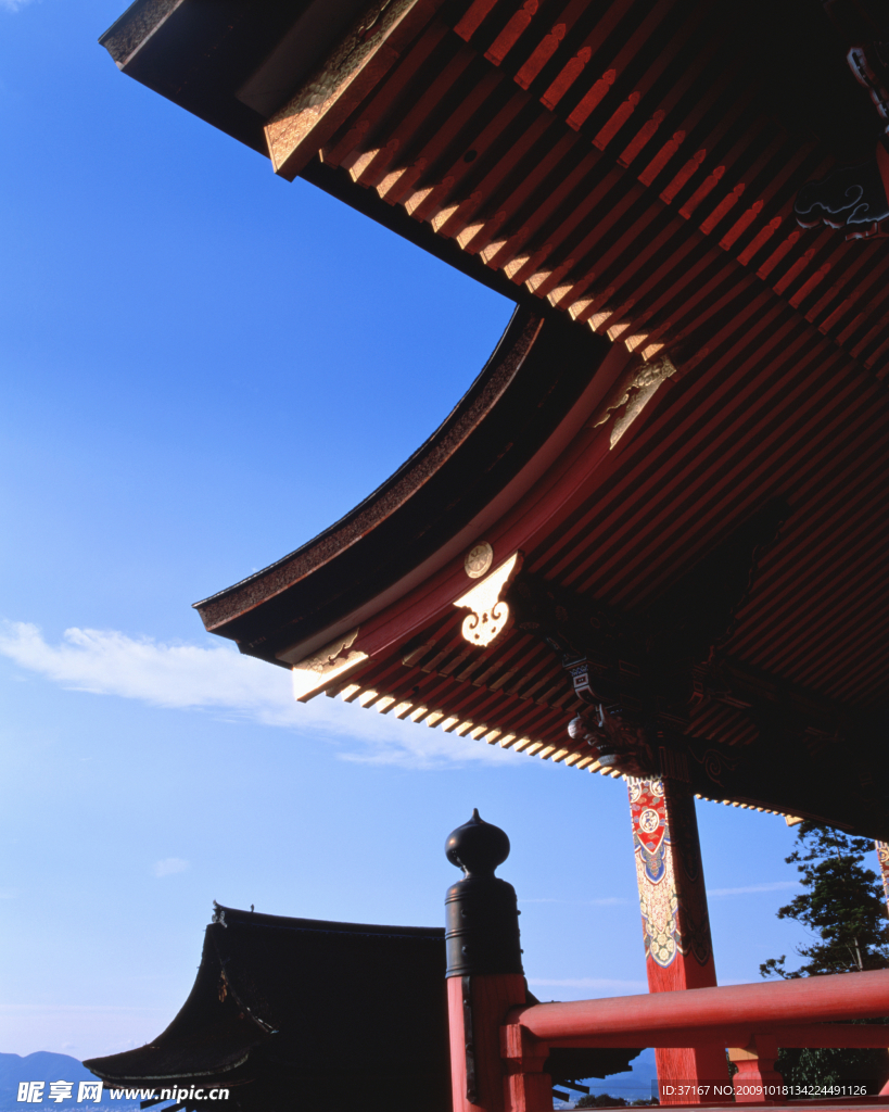 屋顶