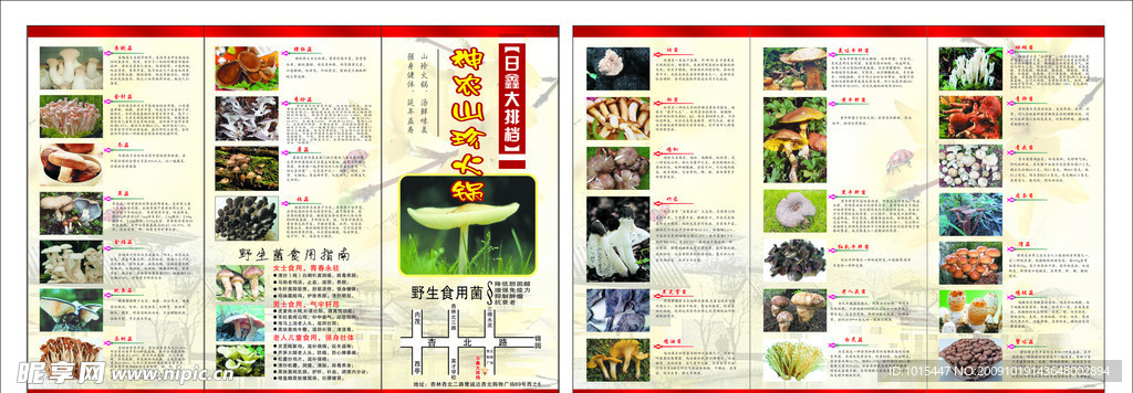 宣传单