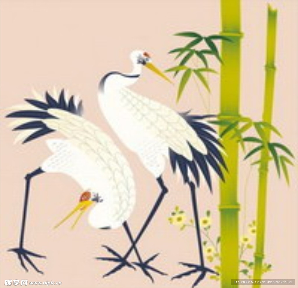 两只日本黄鹤鸟