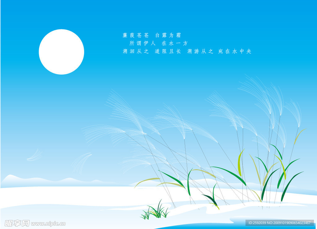 中秋佳节