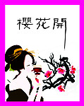 樱花开