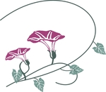 牵牛花