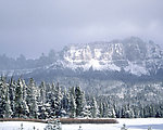 雪原美景