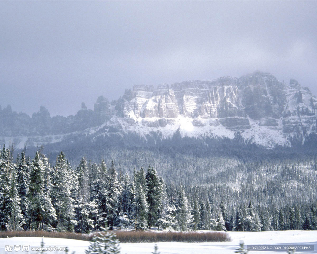 雪原美景