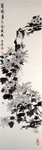 四君子 菊花