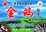 金鸽瓜子