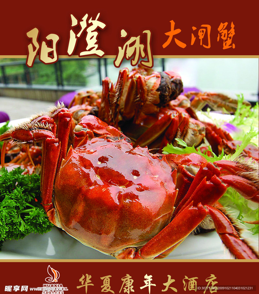 阳澄湖大闸蟹
