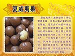干货简介