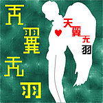 天翼无羽