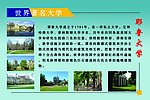 耶鲁大学