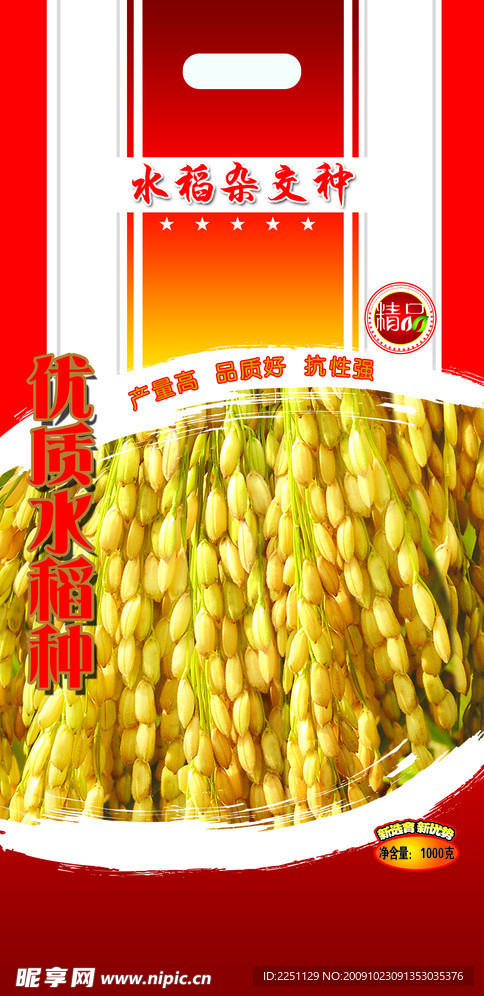 水稻