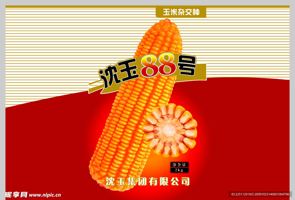 玉米种