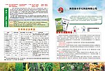 彩页 传单 化肥 农业