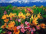 装饰画 无框画 油画 花