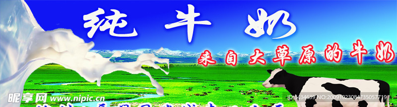 纯牛奶