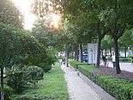 花园小路