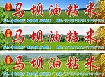 马坝油粘米