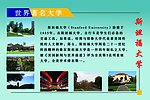 世界著名大学 斯坦福大学