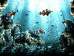海底世界