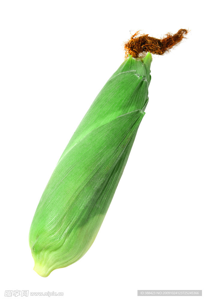 玉米苞