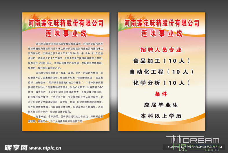 莲味事业线DM宣传单