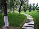 林间小路