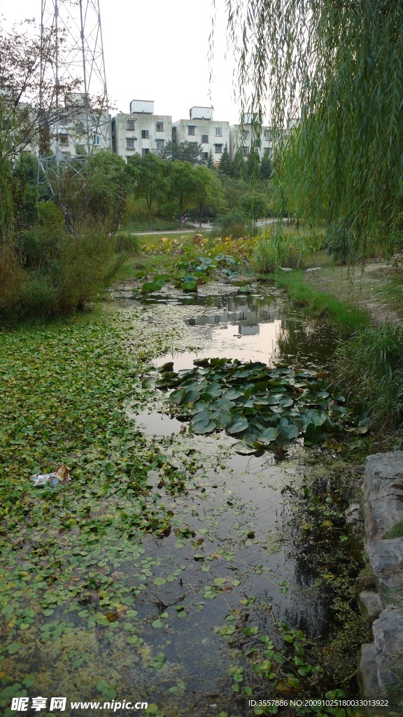 公园小河